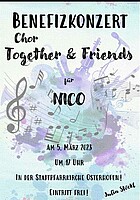 Logo Benefizkonzert für Nico
