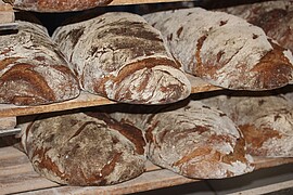Banner Brotbackkurs der Gartler im Gmoahaus