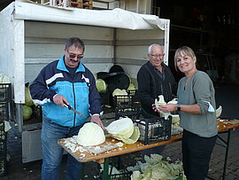 Banner Kraut einhobeln