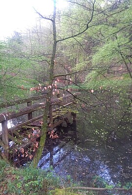 Banner Andacht am Steinfeldweiher 2024